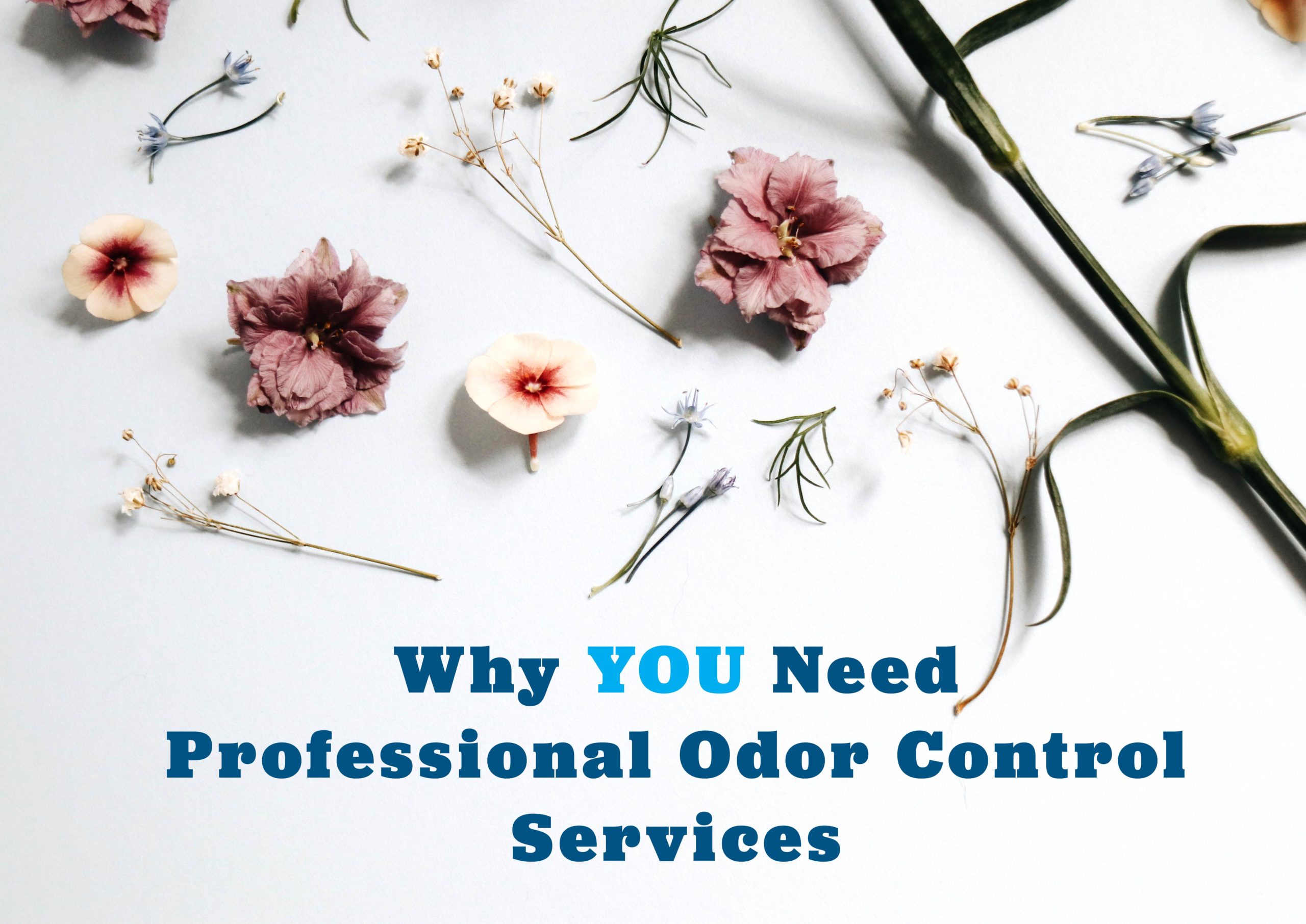 professional odor control