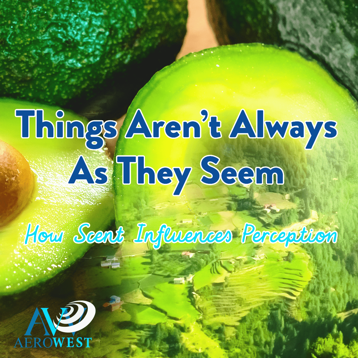 scent and perception smell