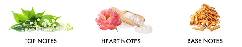 morning breeze fragrance notes